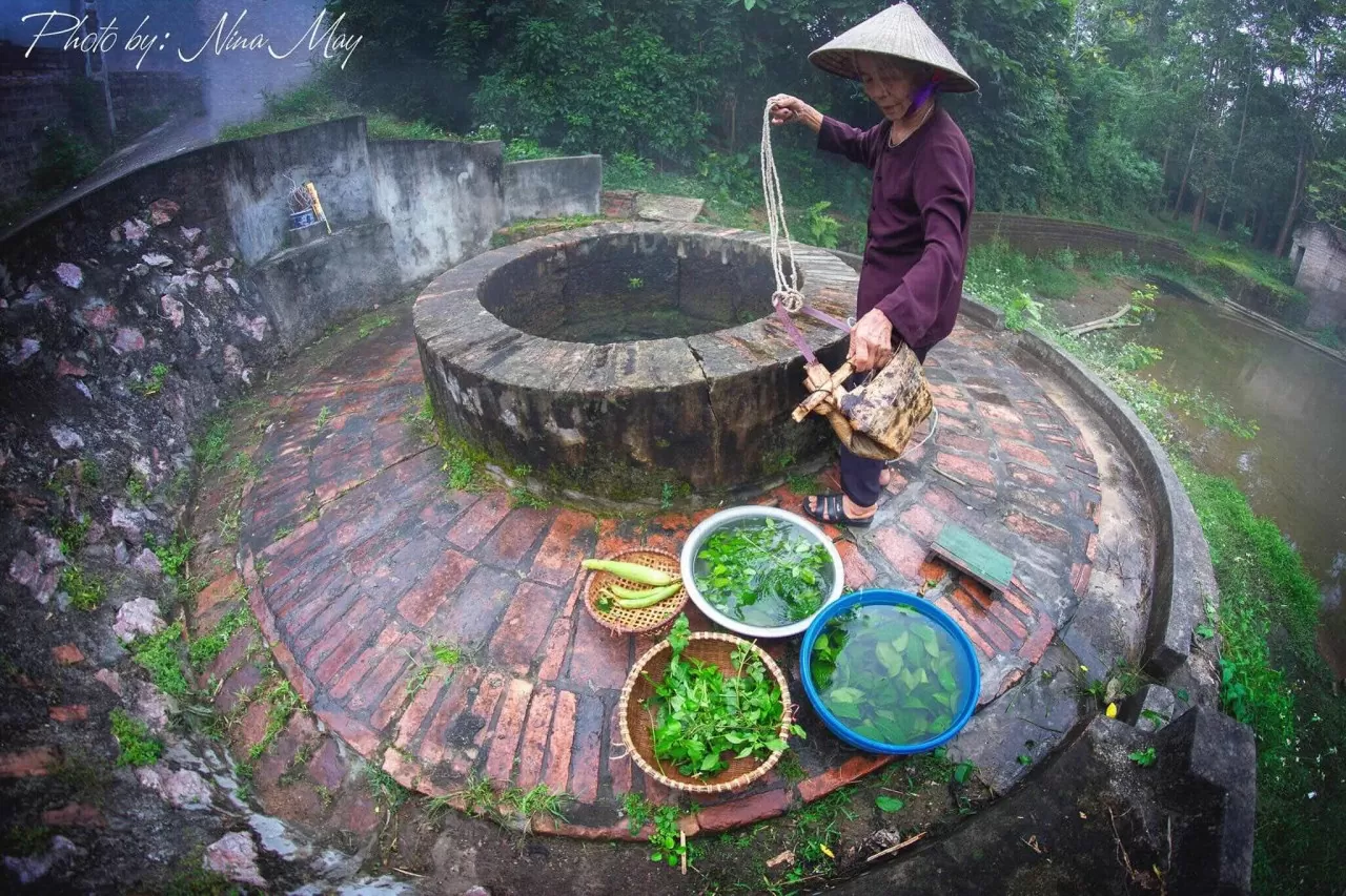 Làng cổ Đường Lâm: Nơi lưu giữ nét văn hóa đồng bằng Bắc Bộ Làng cổ Đường Lâm: Nơi lưu giữ nét văn hóa đồng bằng Bắc Bộ