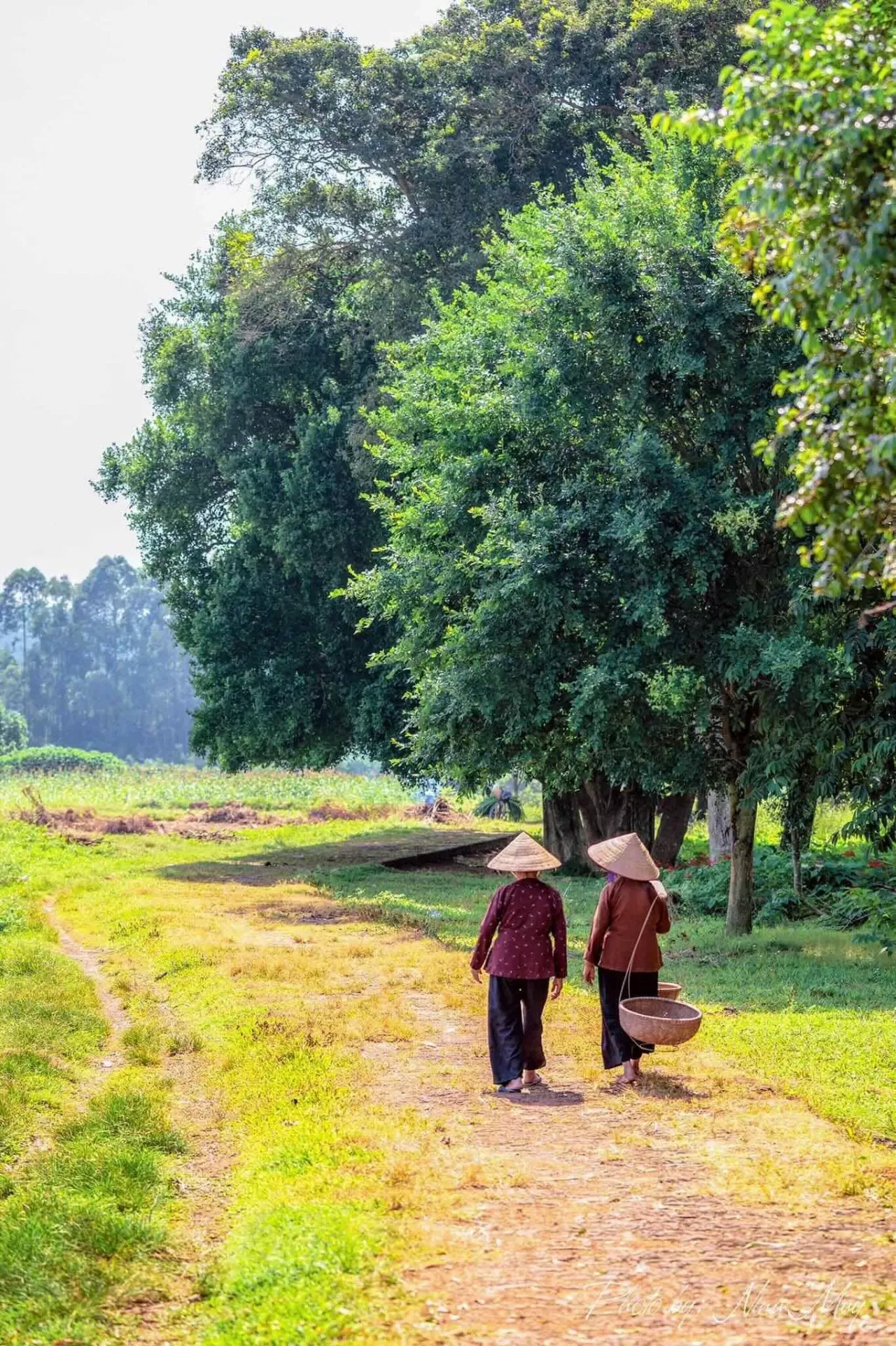 Làng cổ Đường Lâm: Nơi lưu giữ nét văn hóa đồng bằng Bắc Bộ Làng cổ Đường Lâm: Nơi lưu giữ nét văn hóa đồng bằng Bắc Bộ