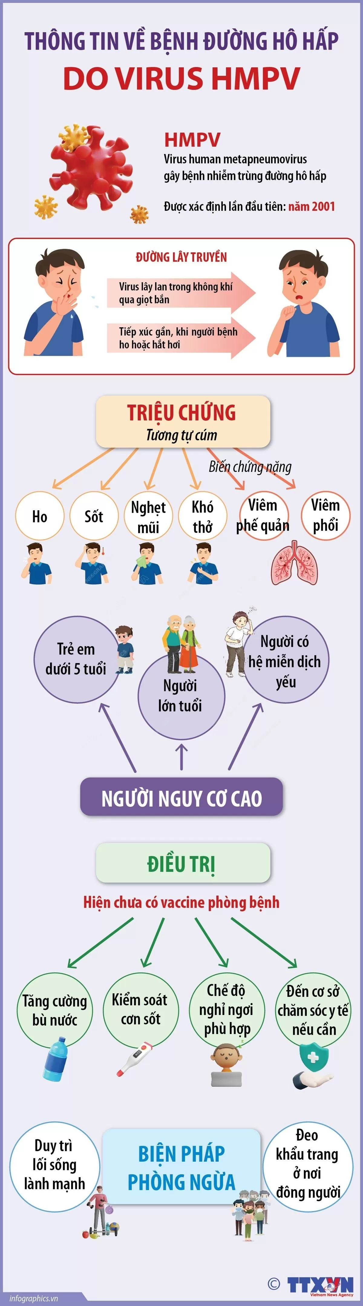 Thông tin về bệnh đường hô hấp do virus HMPV