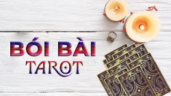 Bài tarot hôm nay 31/1: Đặc điểm nào ở bạn vừa là ưu điểm vừa là khuyết điểm?