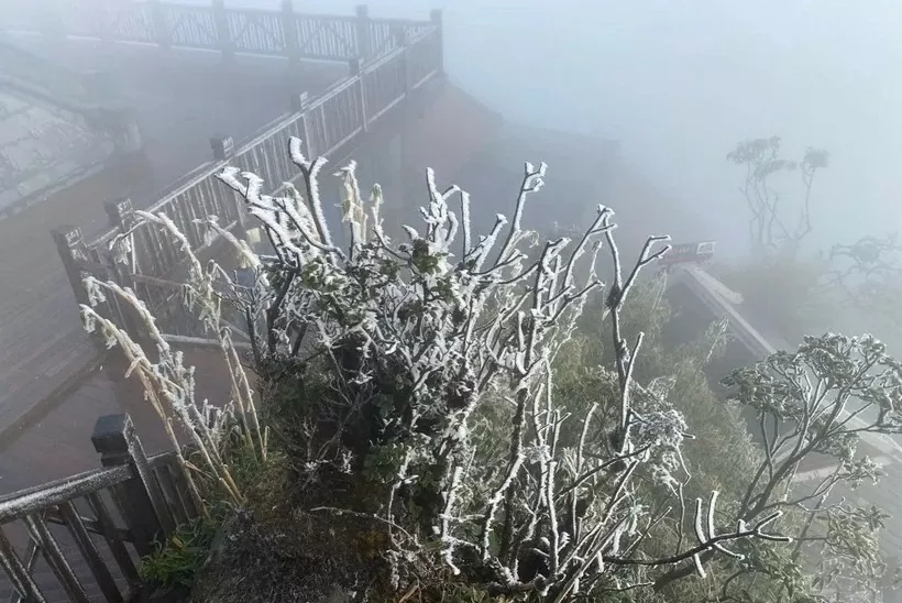 Lào Cai: Đỉnh Fansipan xuống -6 độ C, băng tuyết phủ trắng xóa