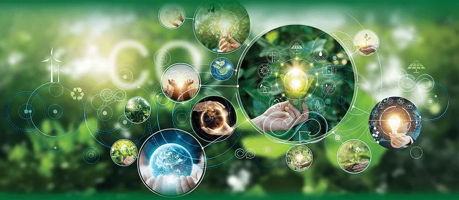 Việc làm xanh – xu hướng trong nền kinh tế bền vững