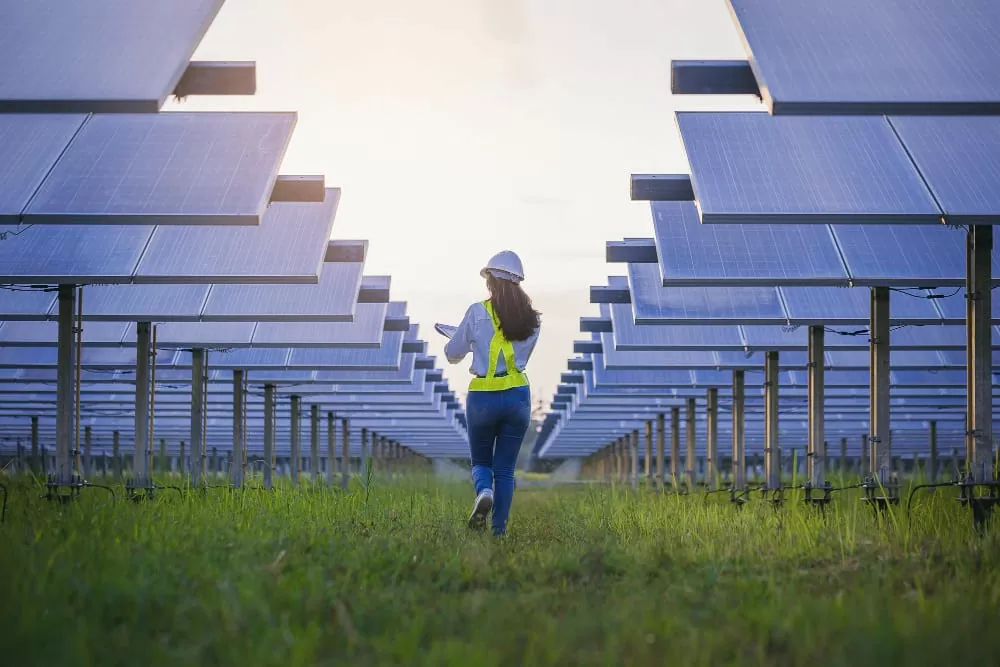 Việc làm xanh – xu hướng trong nền kinh tế bền vững Việc làm xanh – xu hướng trong nền kinh tế bền vững