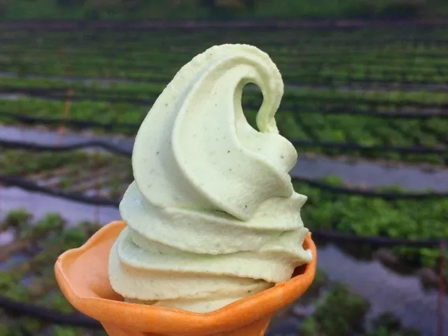 Món kem đặc biệt dành cho người kiêng đồ ngọt tại Nhật Bản Món kem đặc biệt dành cho người kiêng đồ ngọt tại Nhật Bản