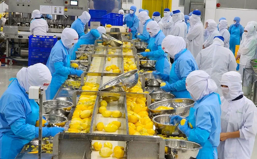 An Giang Phát triển ngành hàng Halal. (Nguồn: Báo An Giang) An Giang Phát triển ngành hàng Halal. (Nguồn: Báo An Giang)