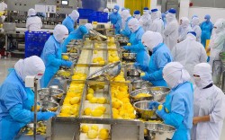 An Giang triển khai nhiều biện pháp hỗ trợ doanh nghiệp tiếp cận thị trường Halal