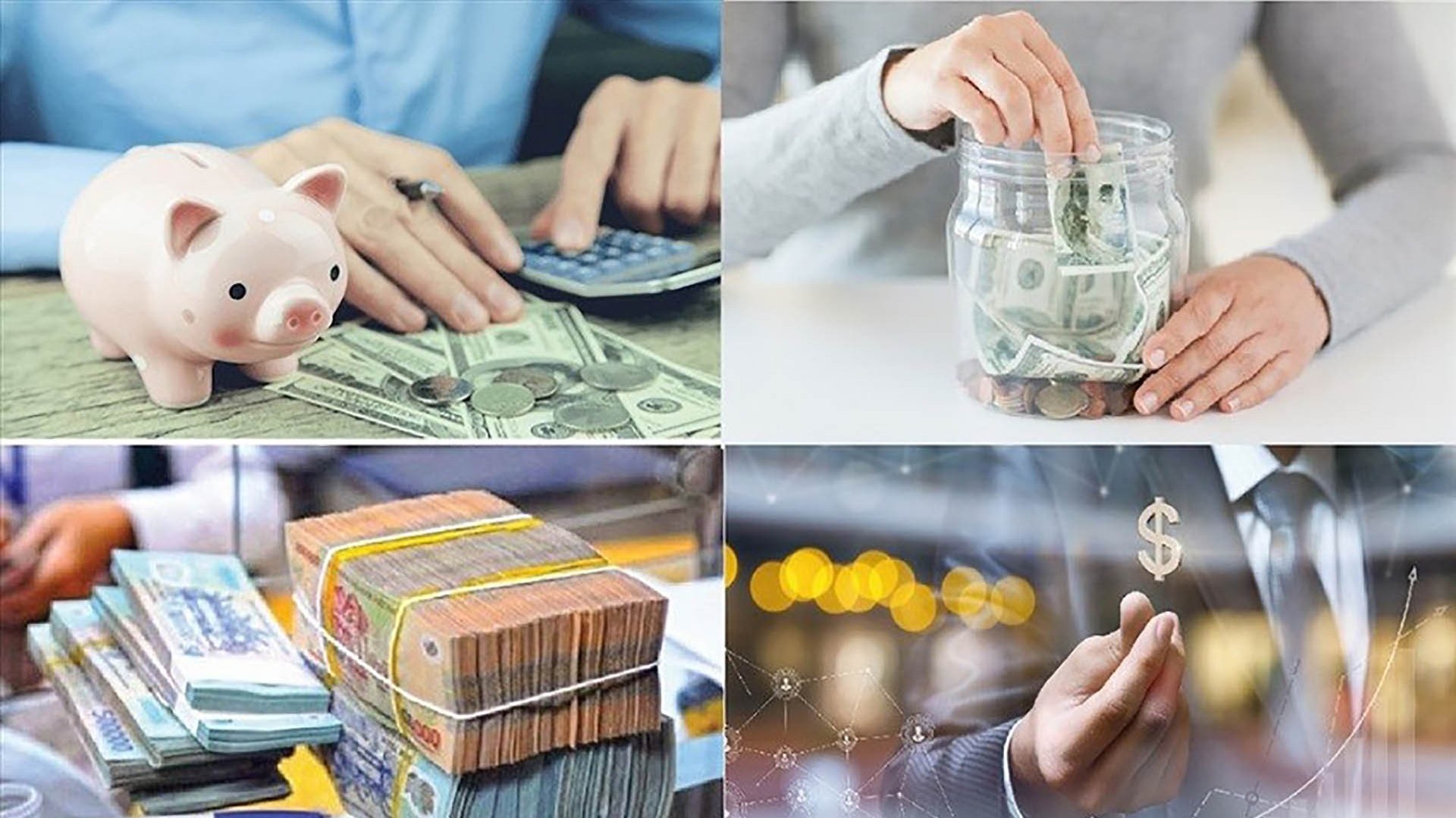 Chương trình tổng thể của Chính phủ về thực hành tiết kiệm, chống lãng phí năm 2025