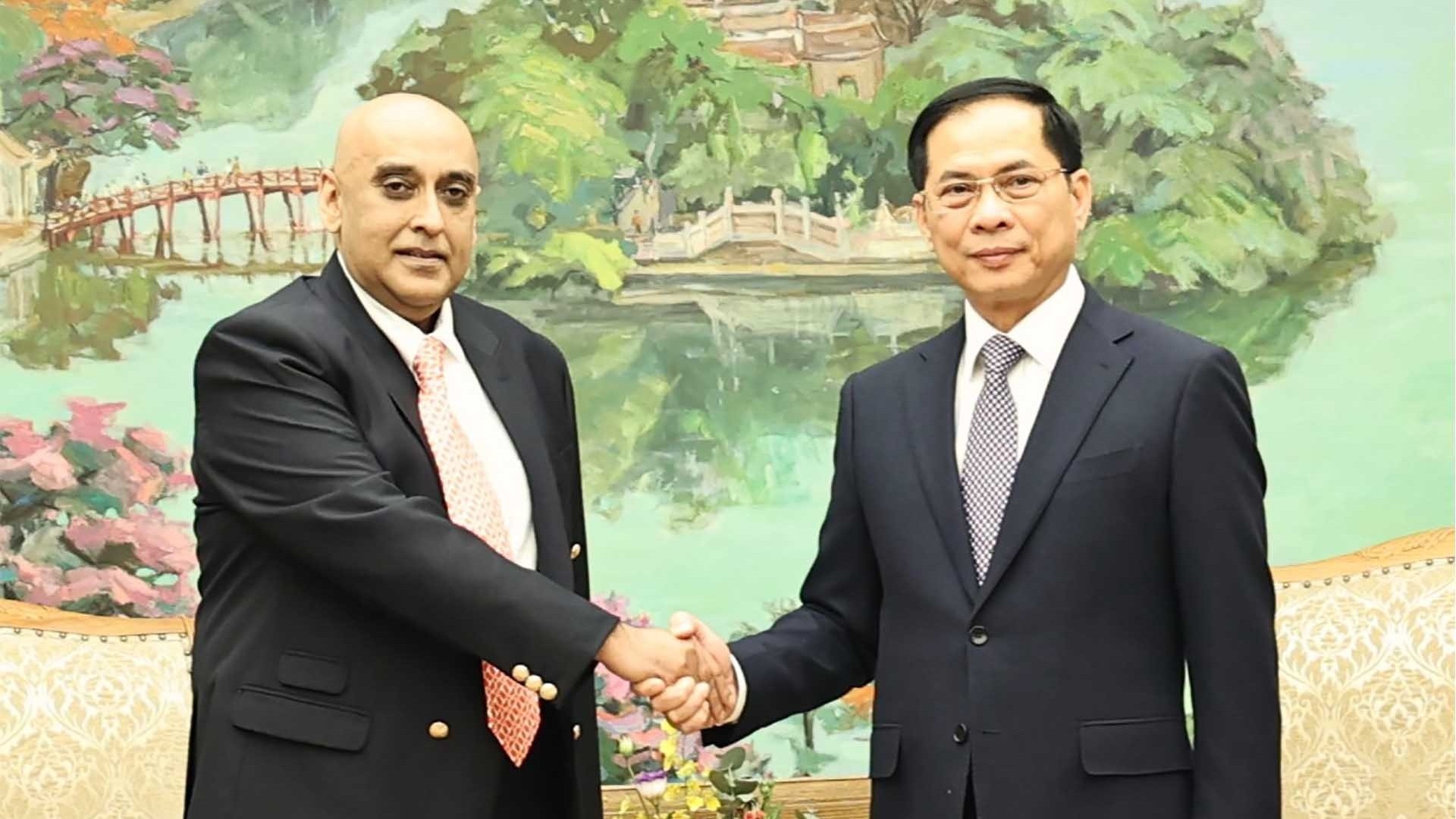 Phó Thủ tướng, Bộ trưởng Ngoại giao Bùi Thanh Sơn tiếp Chủ tịch Tập đoàn Makara Capital