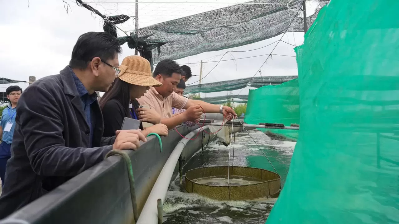 Các học viên Chương trình Lãnh đạo Mekong tham quan khu nuôi trồng thủy sản công nghệ cao tại tỉnh Kiên Giang