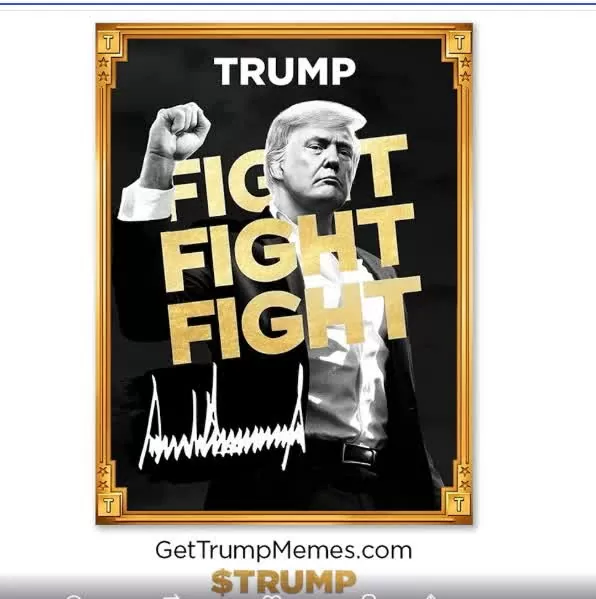 Tổng thống Mỹ đắc cử Donald Trump vừa tung 'vũ khí' mới, thị trường 'nổi bão'. (Nguồn: India Today) Tổng thống Mỹ đắc cử Donald Trump vừa tung 'vũ khí' mới, thị trường 'nổi bão'. (Nguồn: India Today)