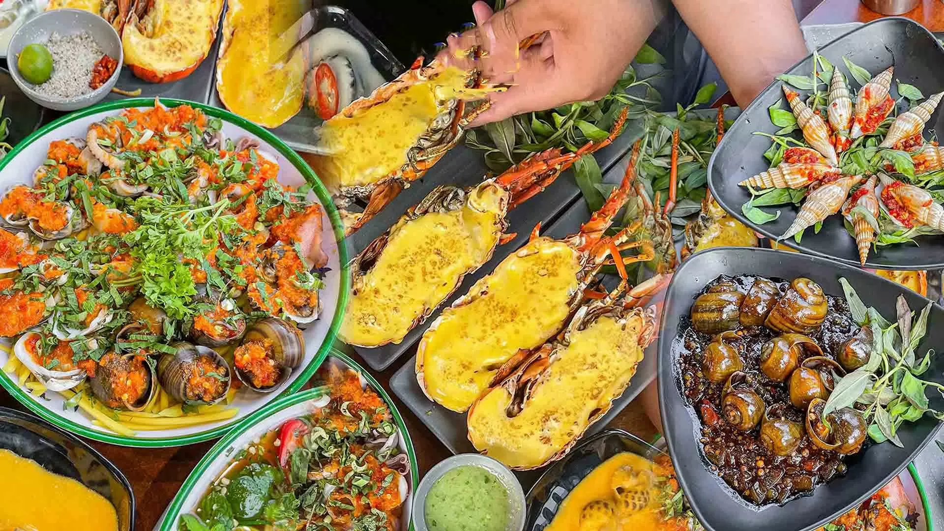 Tết này đi đâu? Tết này đi đâu?