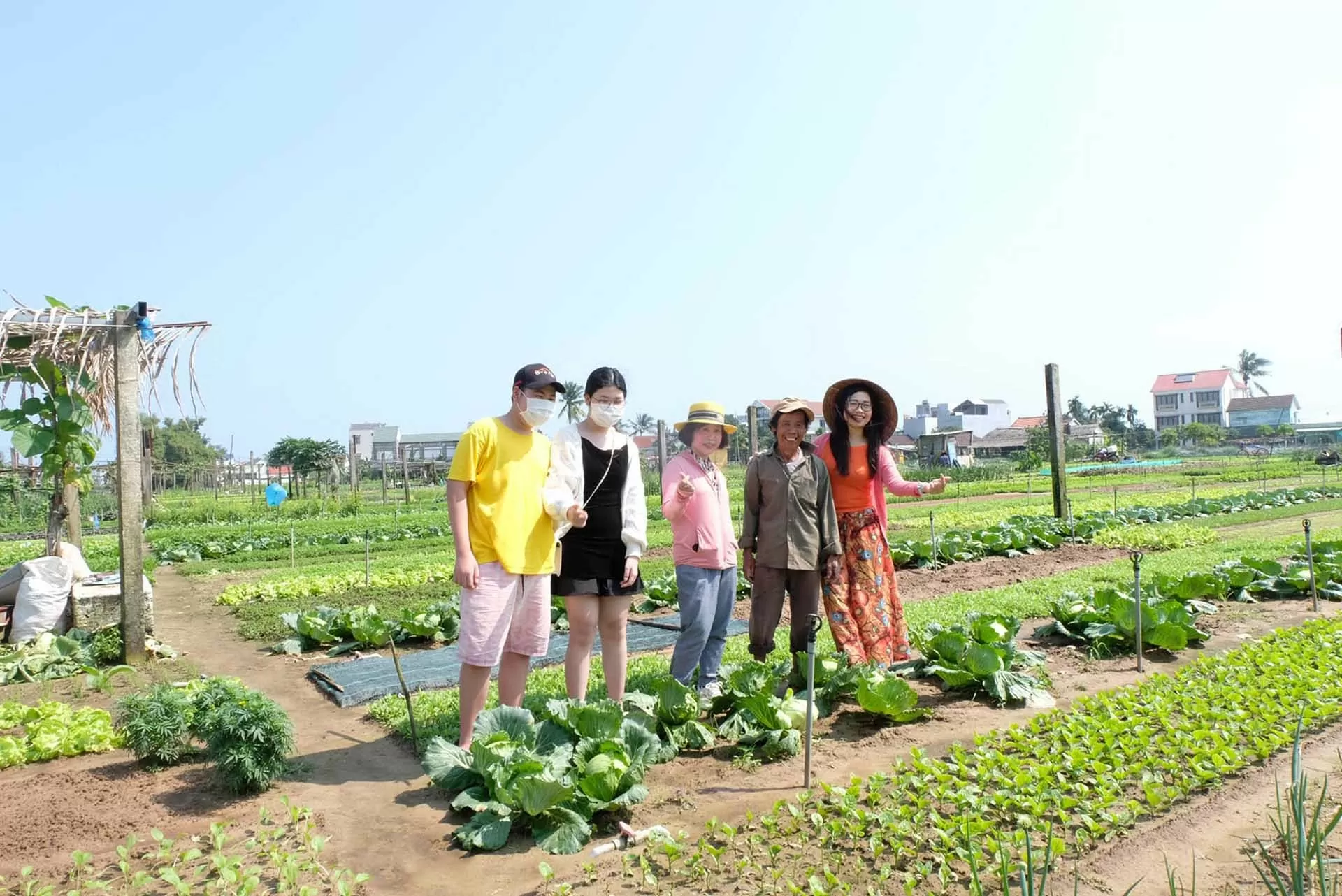 Trải nghiệm thi vị ở làng rau Trà Quế Trải nghiệm thi vị ở làng rau Trà Quế