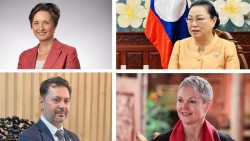 Đầu Xuân, Đại sứ các nước nói gì?