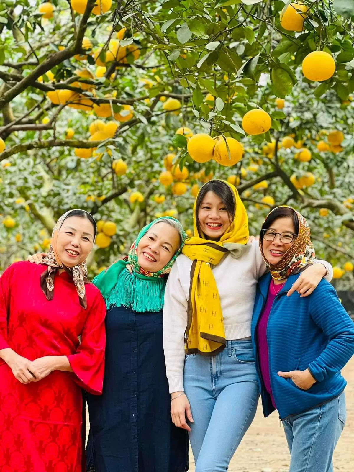 Hương bưởi Diễn bay xa Hương bưởi Diễn bay xa