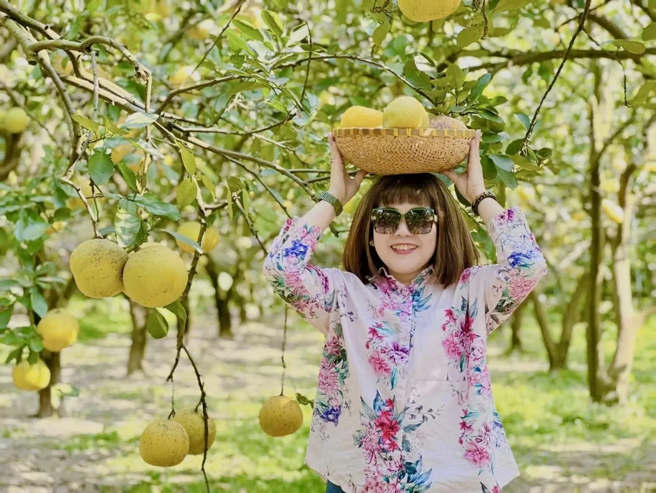 Hương bưởi Diễn bay xa Hương bưởi Diễn bay xa