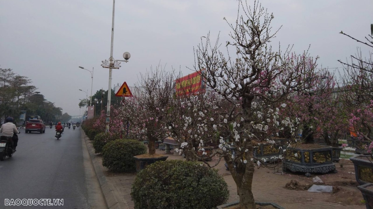 du bao thoi tiet ngay mai 261 bac bo ret dam ret hai vung nui cao co kha nang xay ra bang gia suong muoi tay nguyen nam bo ngay nang