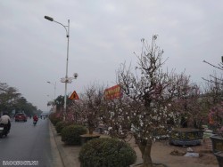 Dự báo diễn biến không khí lạnh tăng cường: Chiều, đêm 26/1, Bắc Bộ, Bắc Trung Bộ chuyển rét đậm; vùng núi cao có băng giá, mưa rào rải rác