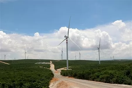 Những cột điện gió tại địa bàn huyện Bắc Bình, Bình Thuận. (Ảnh: Nguyễn Thanh)