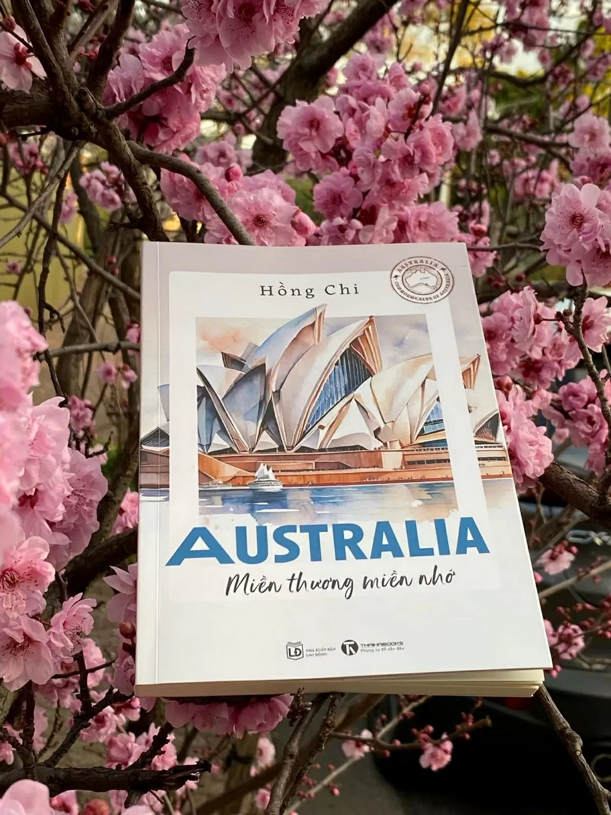 'Australia - Miền thương miền nhớ' và sự kết nối giá trị liên văn hóa