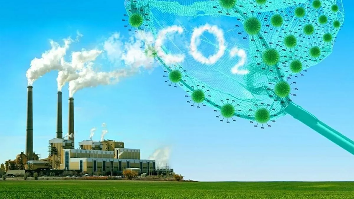 Thí điểm thành lập và phát triển thị trường carbon tại Việt Nam từ năm 2025. (Nguồn: baochinhphu) Thí điểm thành lập và phát triển thị trường carbon tại Việt Nam từ năm 2025. (Nguồn: baochinhphu)