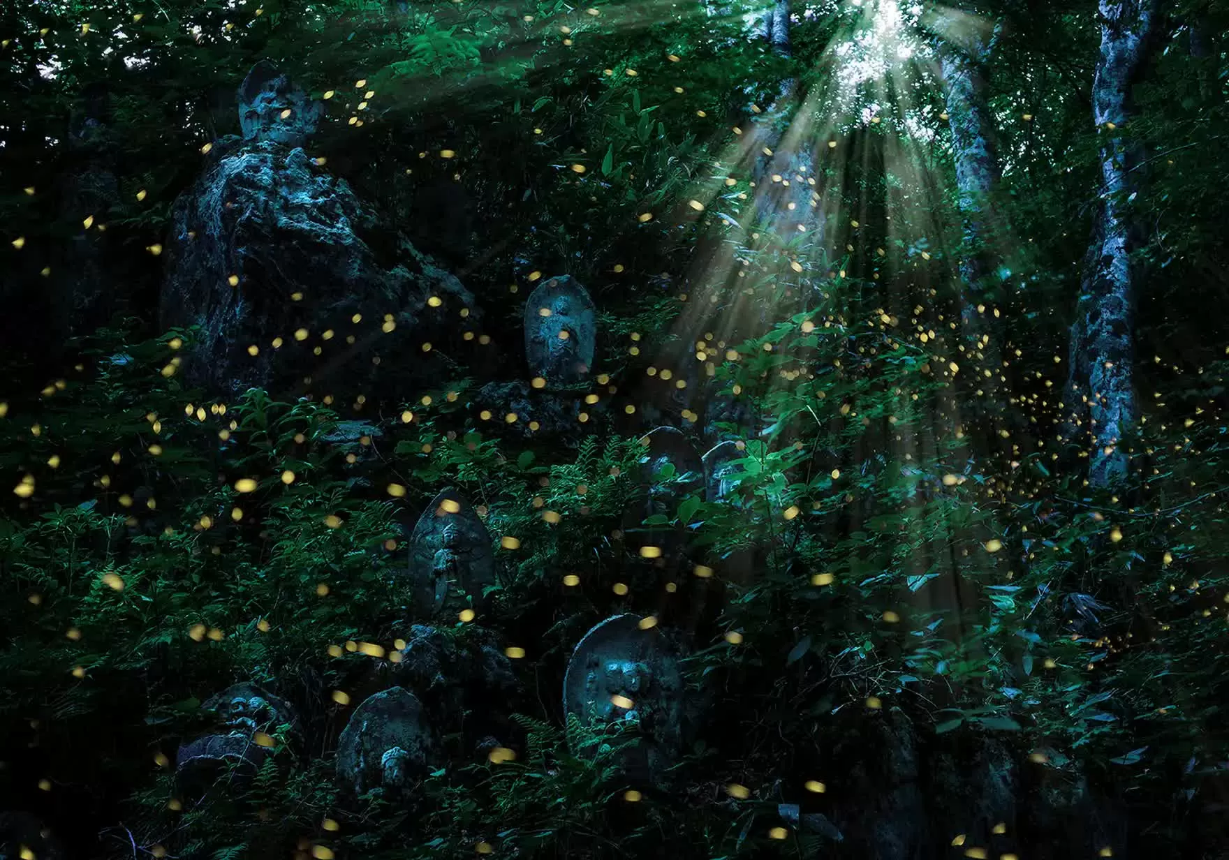 Khung cảnh cổ tích tại khu rừng đom đóm lung linh ở Yamagata, Nhật Bản Khung cảnh cổ tích tại khu rừng đom đóm ở Yamagata, Nhật Bản