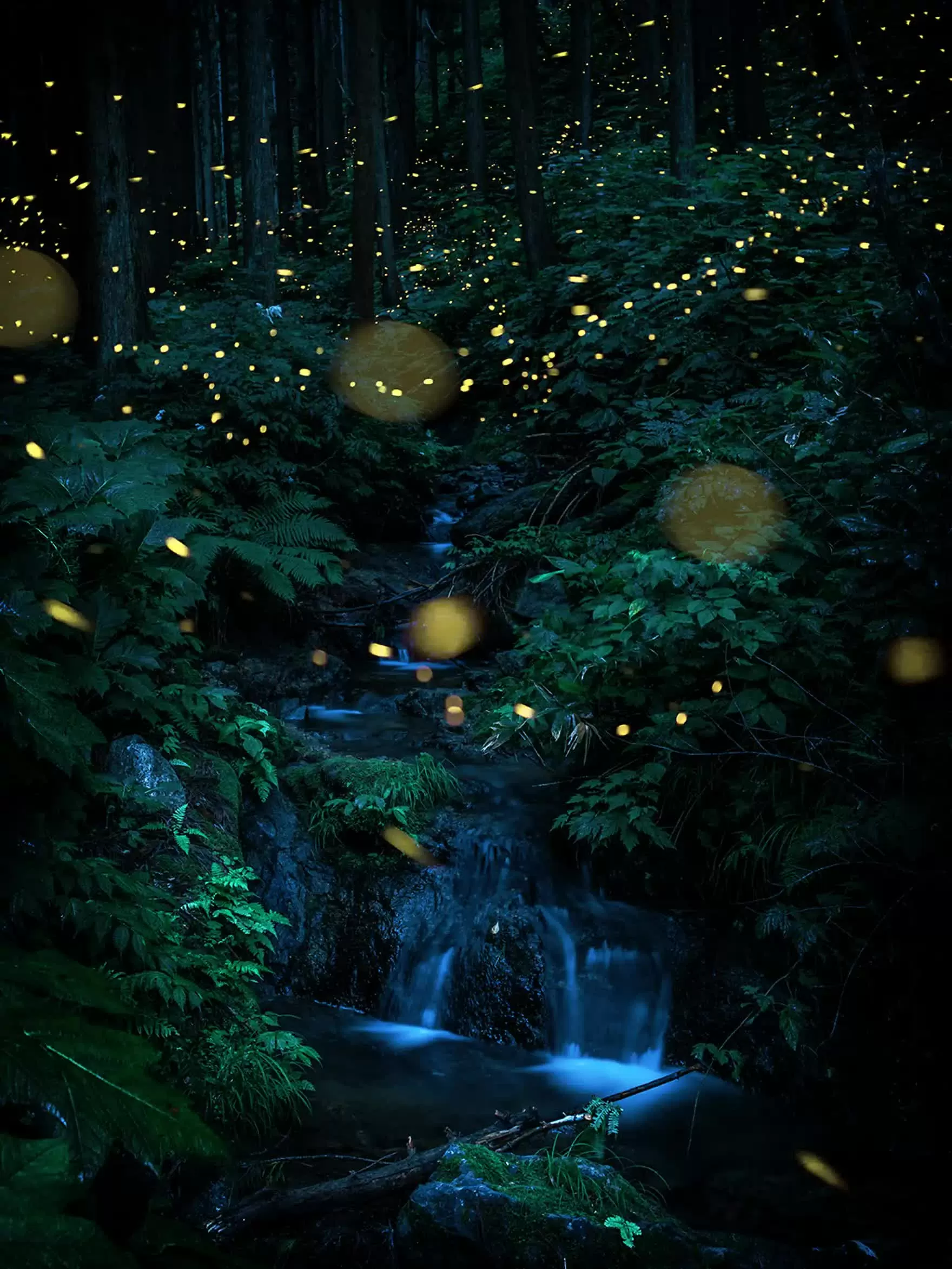 Khung cảnh cổ tích tại khu rừng đom đóm ở Yamagata, Nhật Bản