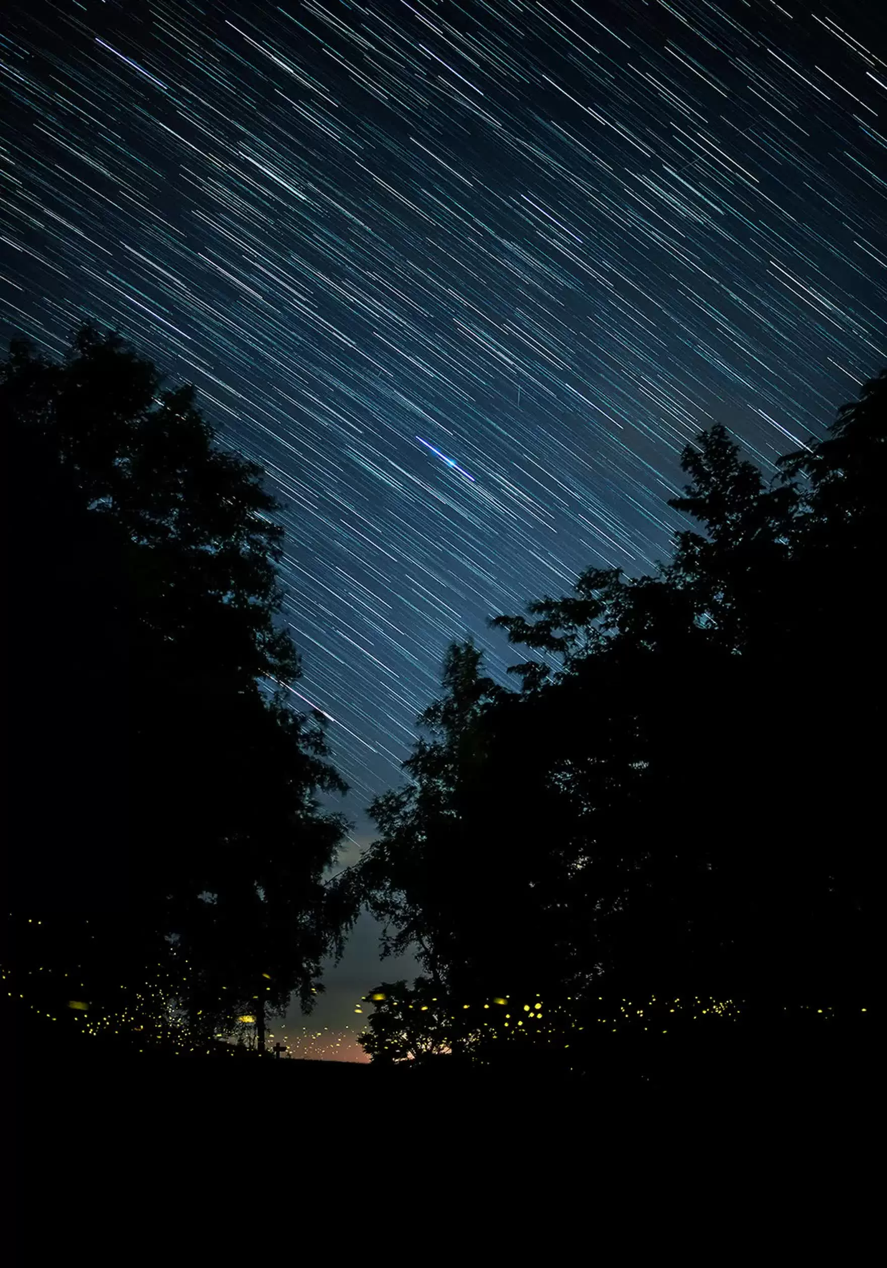 Khung cảnh cổ tích tại khu rừng đom đóm lung linh ở Yamagata, Nhật Bản Khung cảnh cổ tích tại khu rừng đom đóm ở Yamagata, Nhật Bản