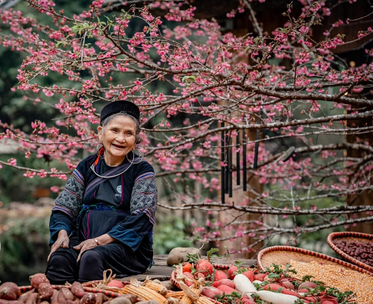 Khám phá Việt Nam: Mê đắm những cung đường Xuân Khám phá Việt Nam: Mê đắm những cung đường Xuân