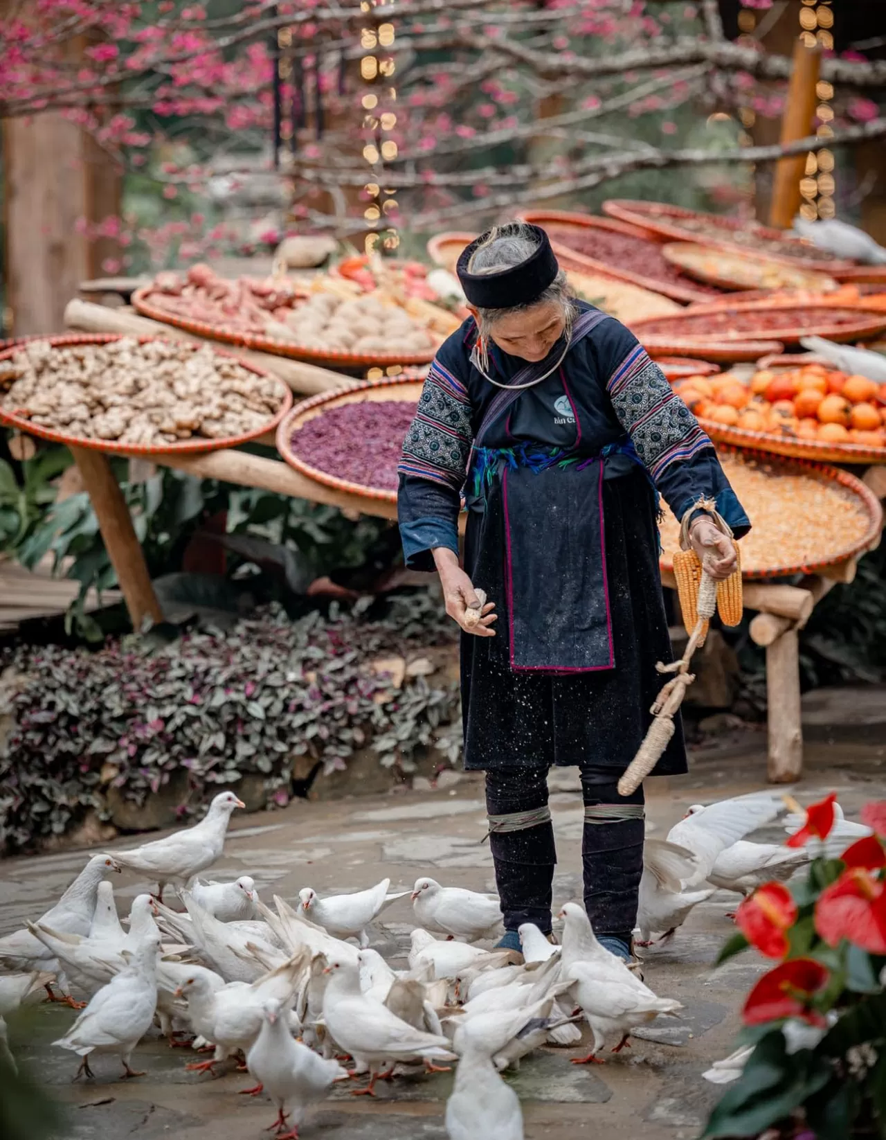 Khám phá Việt Nam: Mê đắm những cung đường Xuân Khám phá Việt Nam: Mê đắm những cung đường Xuân