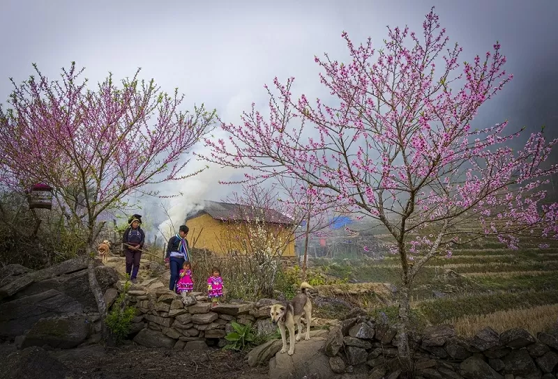Khám phá Việt Nam: Mê đắm những cung đường Xuân Khám phá Việt Nam: Mê đắm những cung đường Xuân