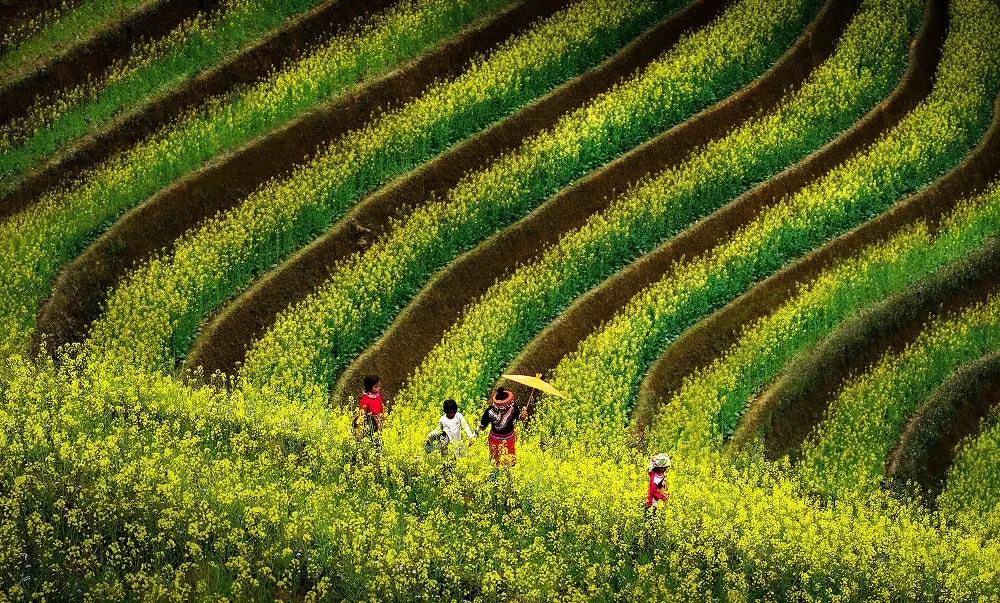 Khám phá Việt Nam: Mê đắm những cung đường Xuân Khám phá Việt Nam: Mê đắm những cung đường Xuân