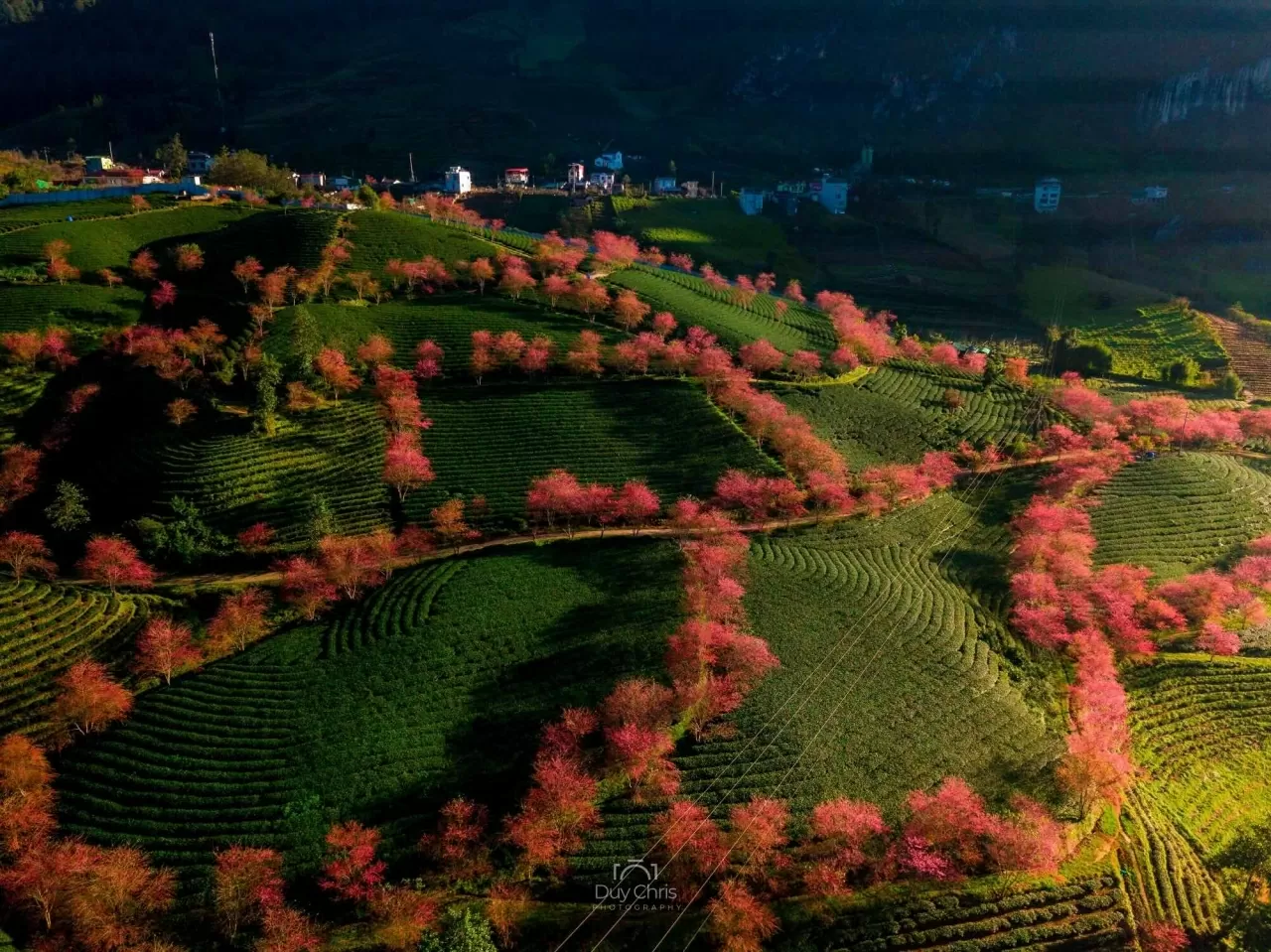 Khám phá Việt Nam: Mê đắm những cung đường Xuân Khám phá Việt Nam: Mê đắm những cung đường Xuân