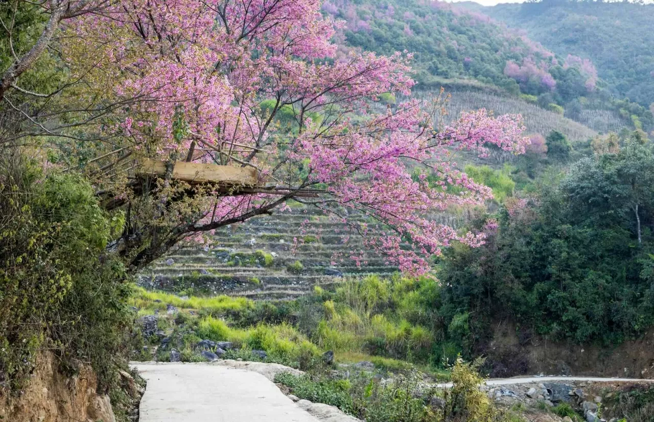 Khám phá Việt Nam: Mê đắm những cung đường Xuân Khám phá Việt Nam: Mê đắm những cung đường Xuân