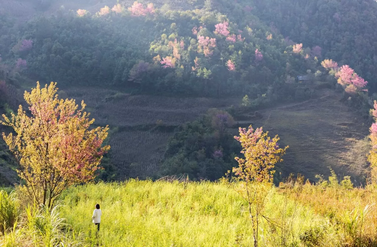 Khám phá Việt Nam: Mê đắm những cung đường Xuân Khám phá Việt Nam: Mê đắm những cung đường Xuân