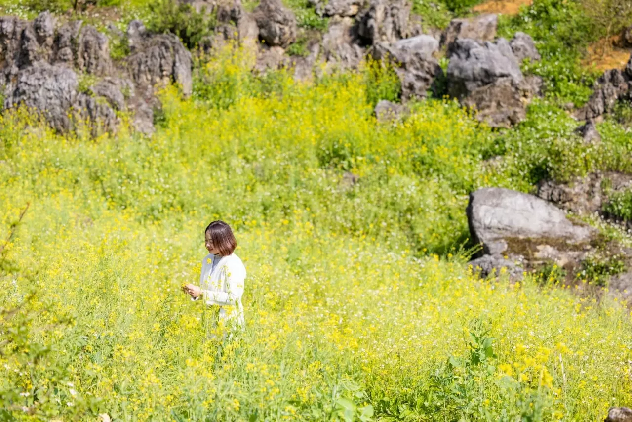 Khám phá Việt Nam: Mê đắm những cung đường Xuân Khám phá Việt Nam: Mê đắm những cung đường Xuân