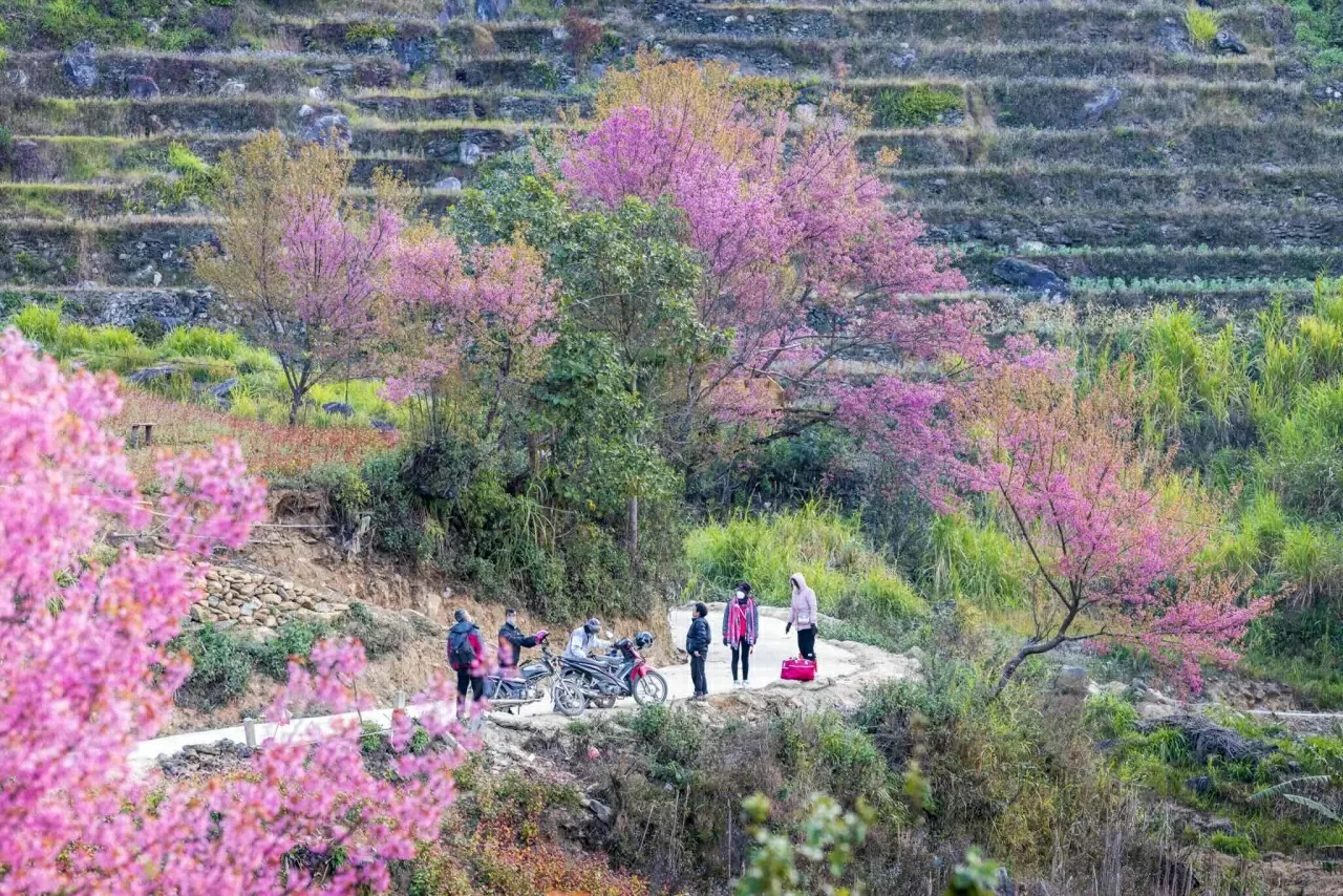 Khám phá Việt Nam: Mê đắm những cung đường Xuân Khám phá Việt Nam: Mê đắm những cung đường Xuân
