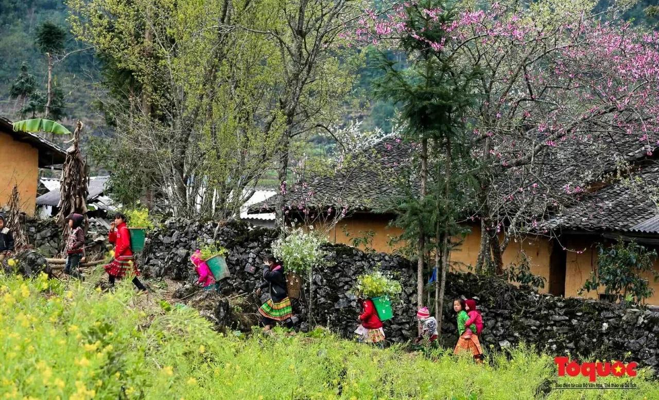 Khám phá Việt Nam: Mê đắm những cung đường Xuân Khám phá Việt Nam: Mê đắm những cung đường Xuân