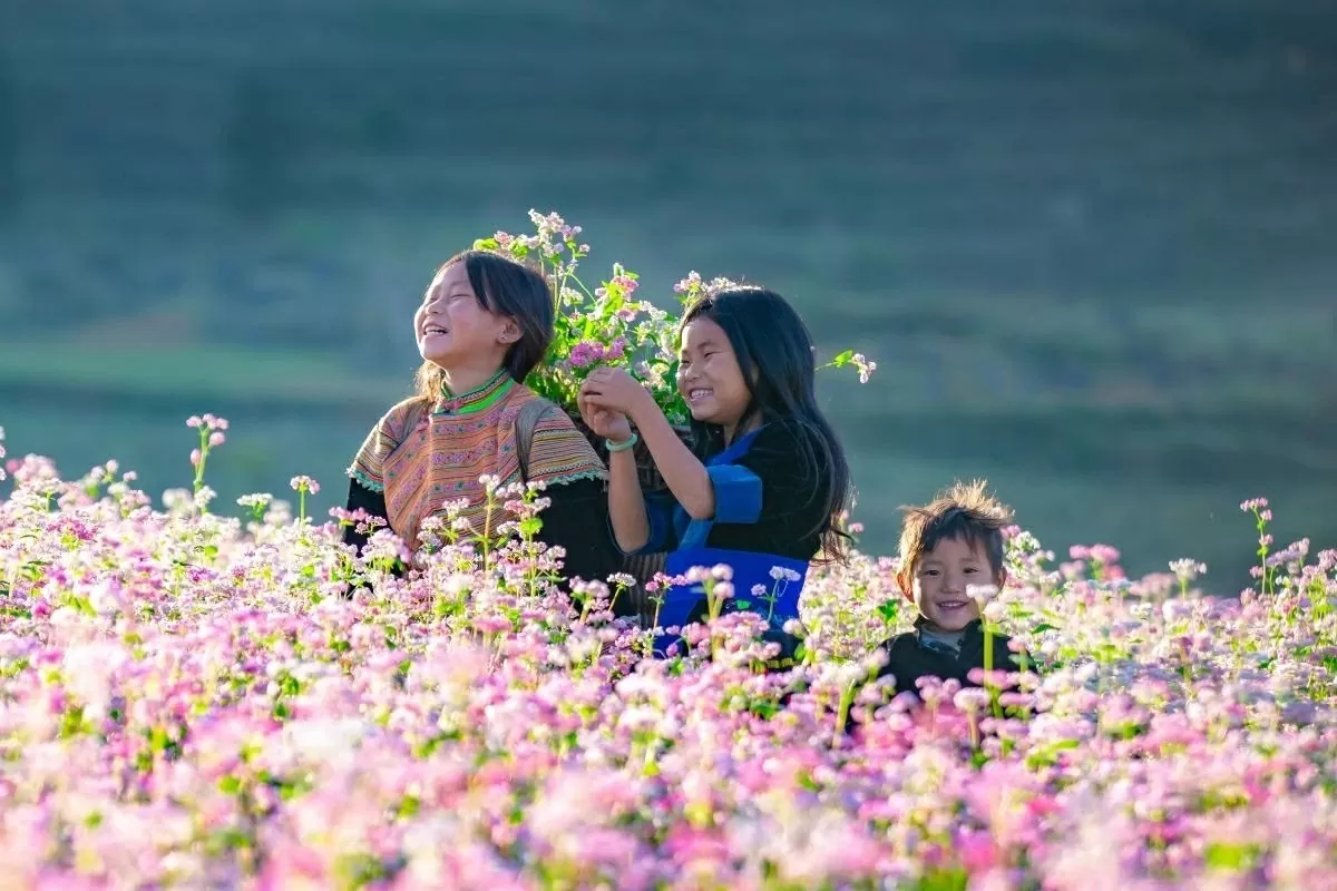 Khám phá Việt Nam: Mê đắm những cung đường Xuân