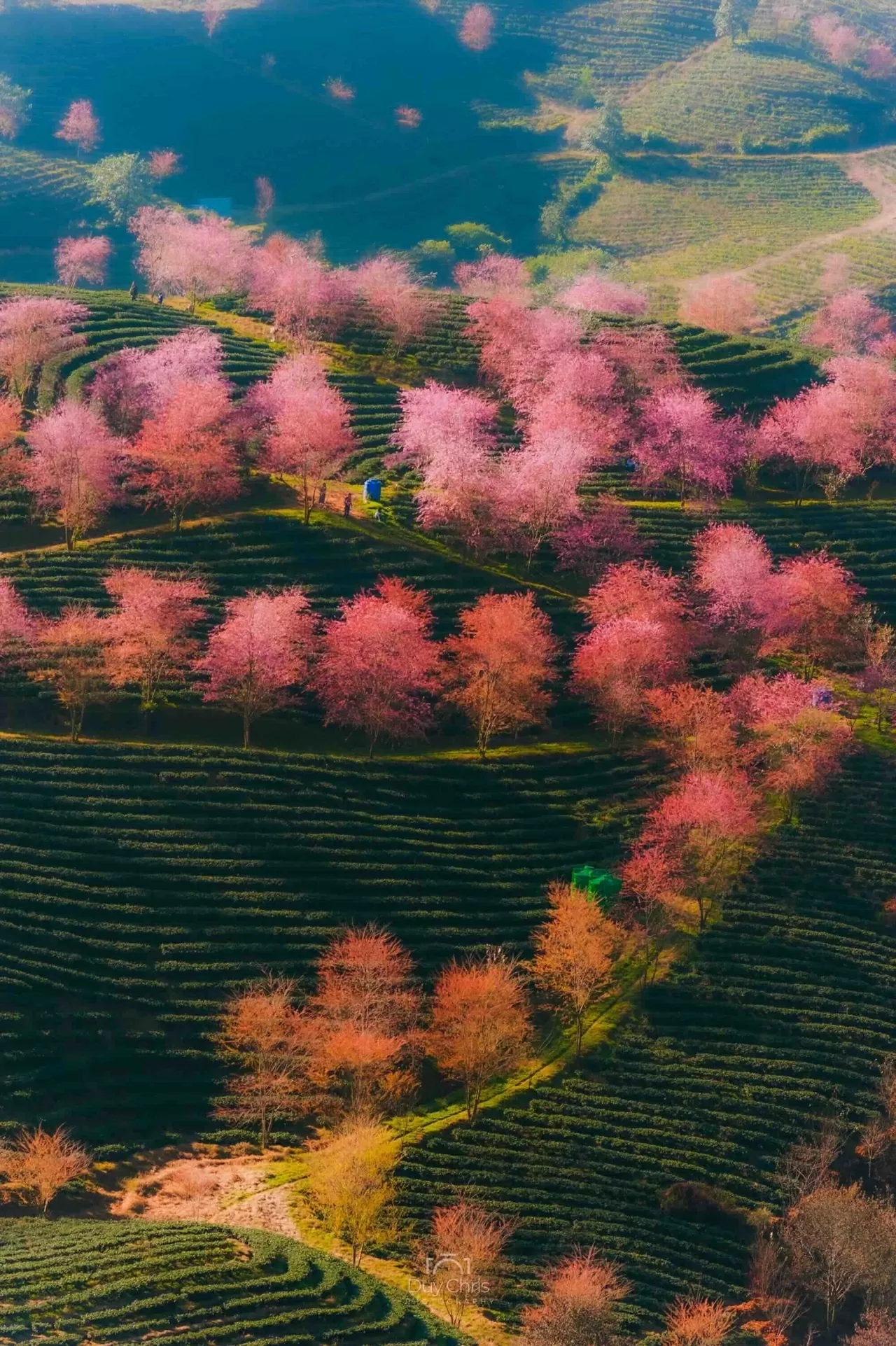 Khám phá Việt Nam: Mê đắm những cung đường Xuân Khám phá Việt Nam: Mê đắm những cung đường Xuân