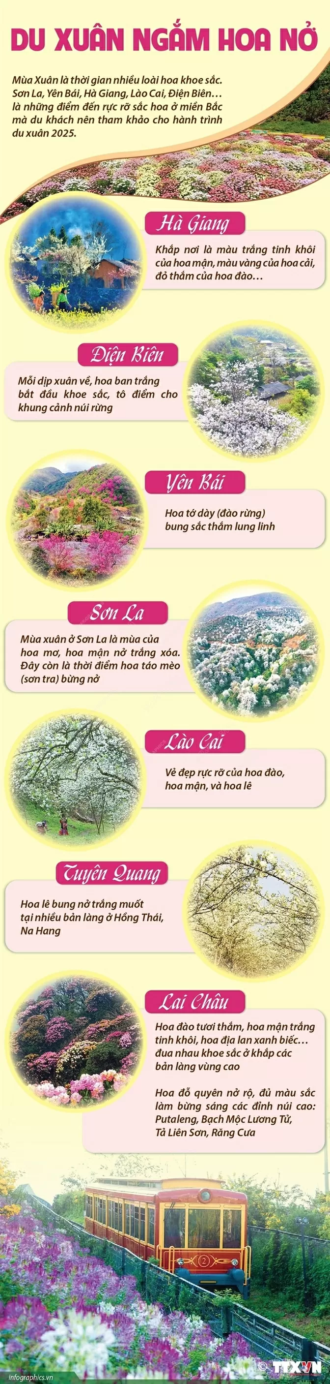 du xuân đầu năm