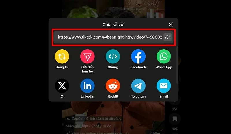 Tải video TikTok không logo về máy tính với vài thao tác đơn giản Tải video TikTok không logo về máy tính với vài thao tác đơn giản