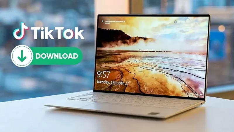 Tải video TikTok không logo về máy tính với vài thao tác đơn giản Tải video TikTok không logo về máy tính với vài thao tác đơn giản
