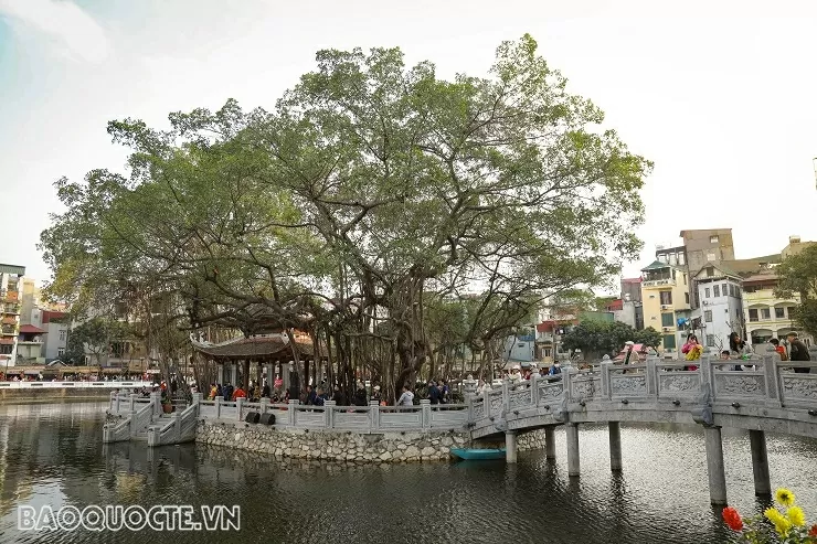 Náo nức Hội chữ Xuân Ất Tỵ 2025