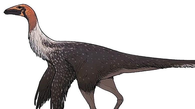 phat hien khung long da dieu tay dai co dai tai mexico