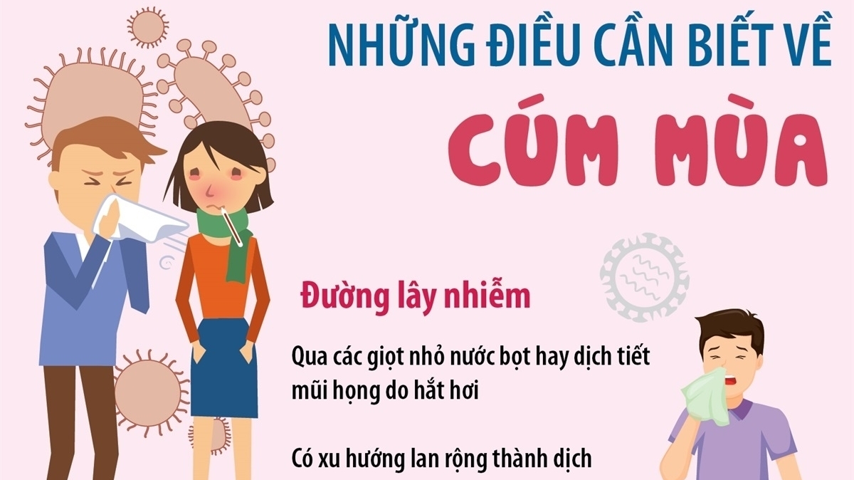 viet nam ghi nhan hon 289000 ca nhiem cum mua nguyen nhan bieu hien va cach phong tranh