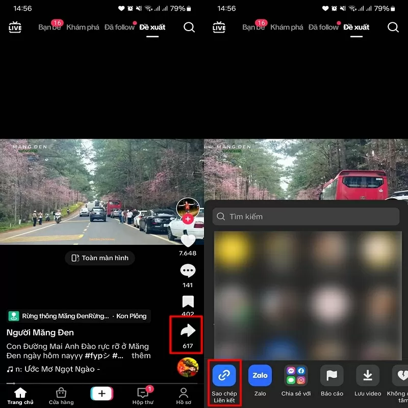 Tải nhạc TikTok về điện thoại với vài thao tác đơn giản Tải nhạc TikTok về điện thoại với vài thao tác đơn giản