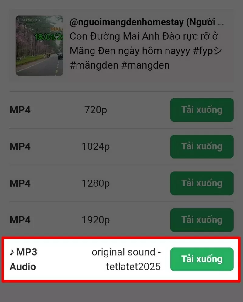 Tải nhạc TikTok về điện thoại với vài thao tác đơn giản Tải nhạc TikTok về điện thoại với vài thao tác đơn giản