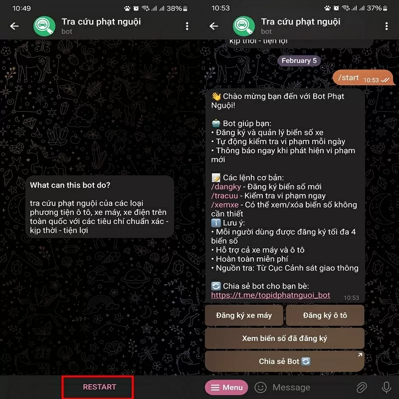 Tra cứu phạt nguội trên Telegram mới nhất không phải ai cũng biết