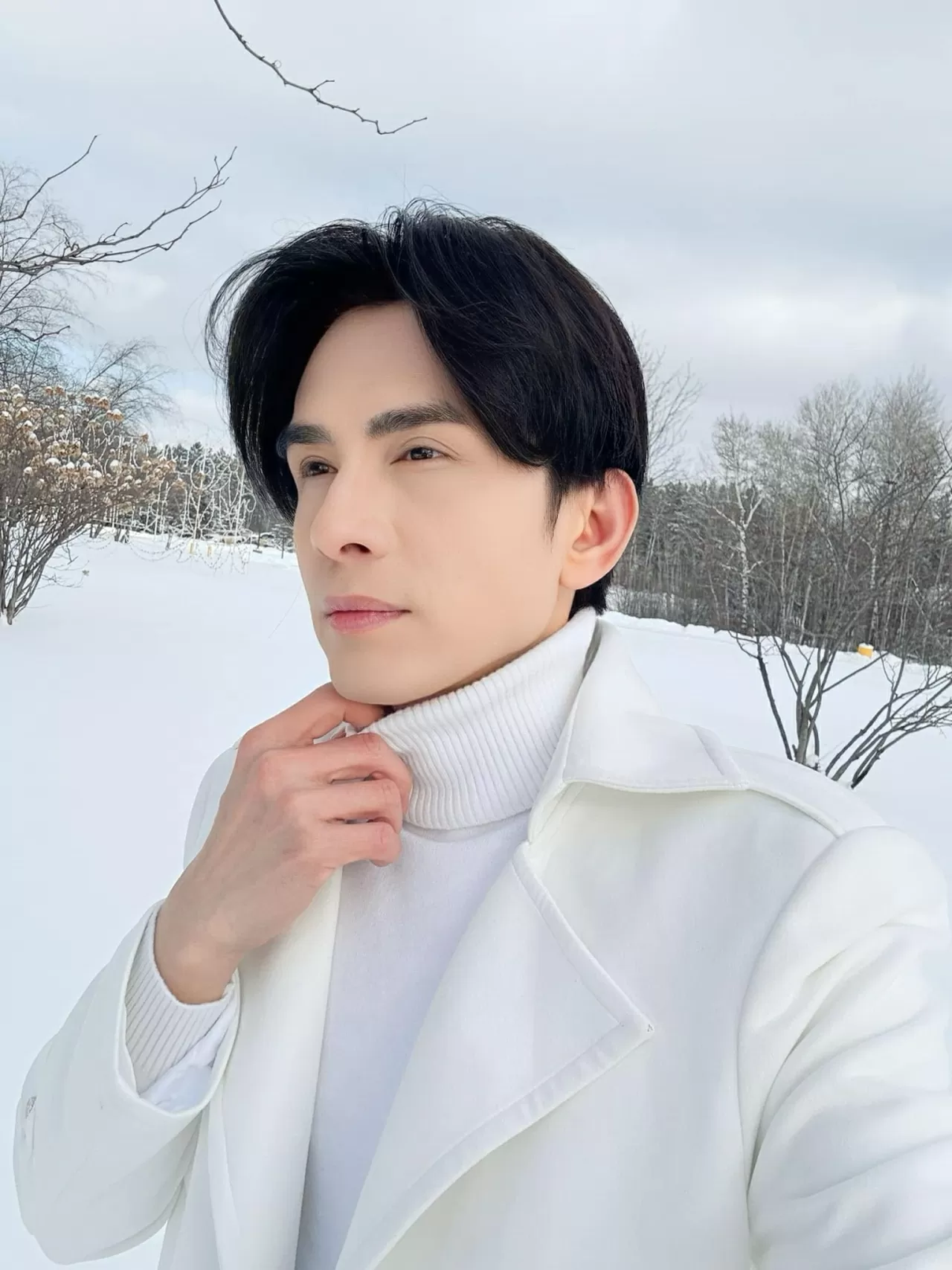 Sao Việt