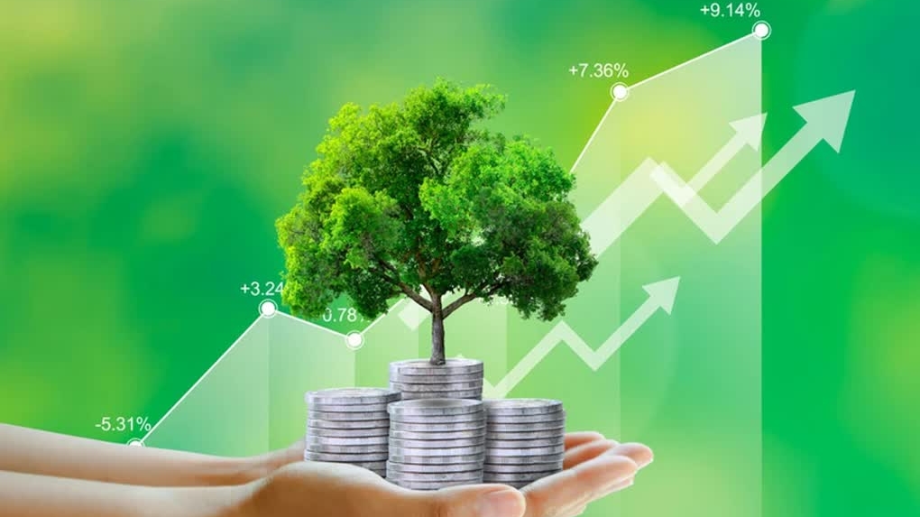 Hút vốn và khơi thông đầu tư cho năng lượng tái tạo